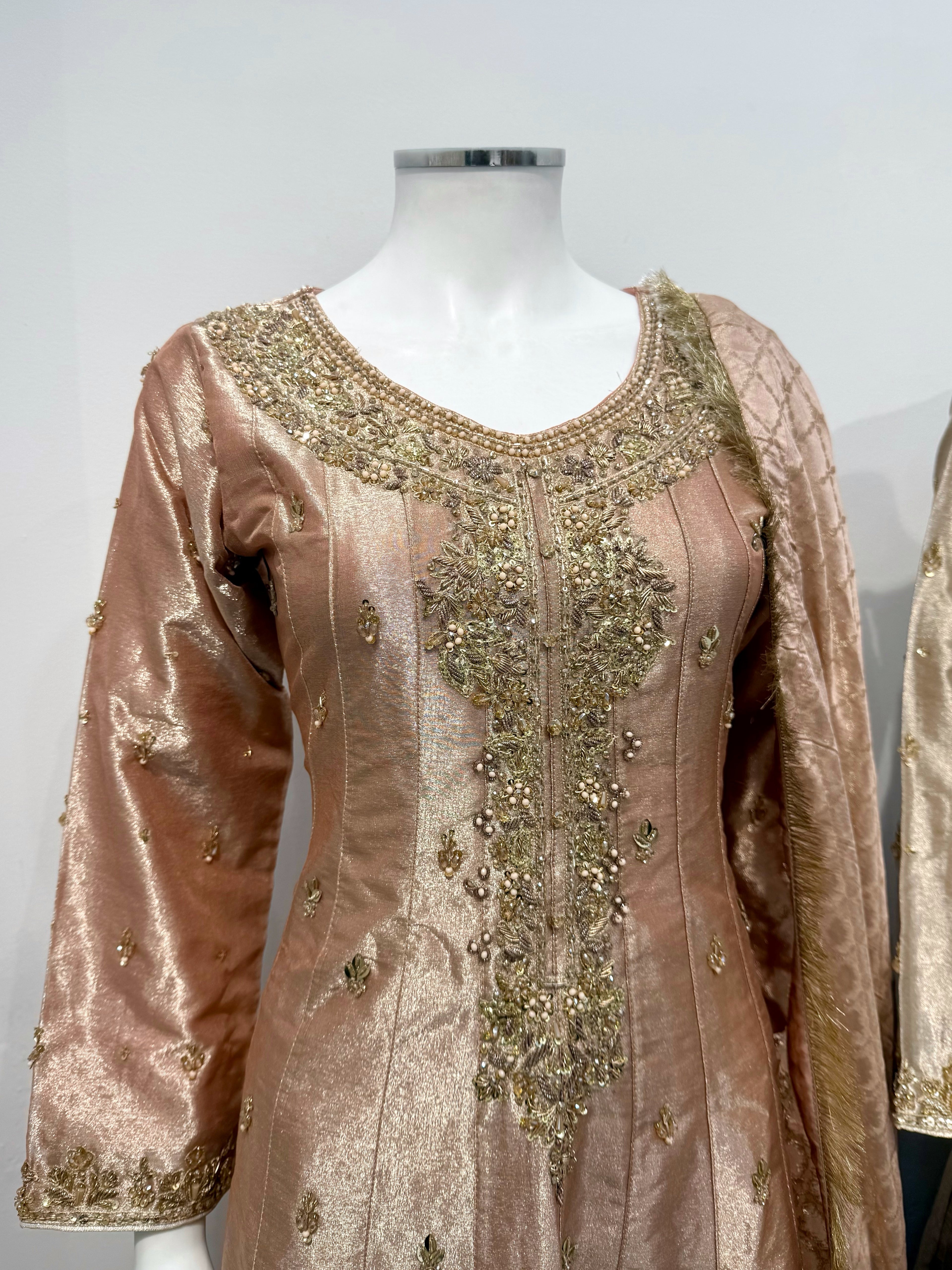 Hand Embroidered Tissue Silk Maxi