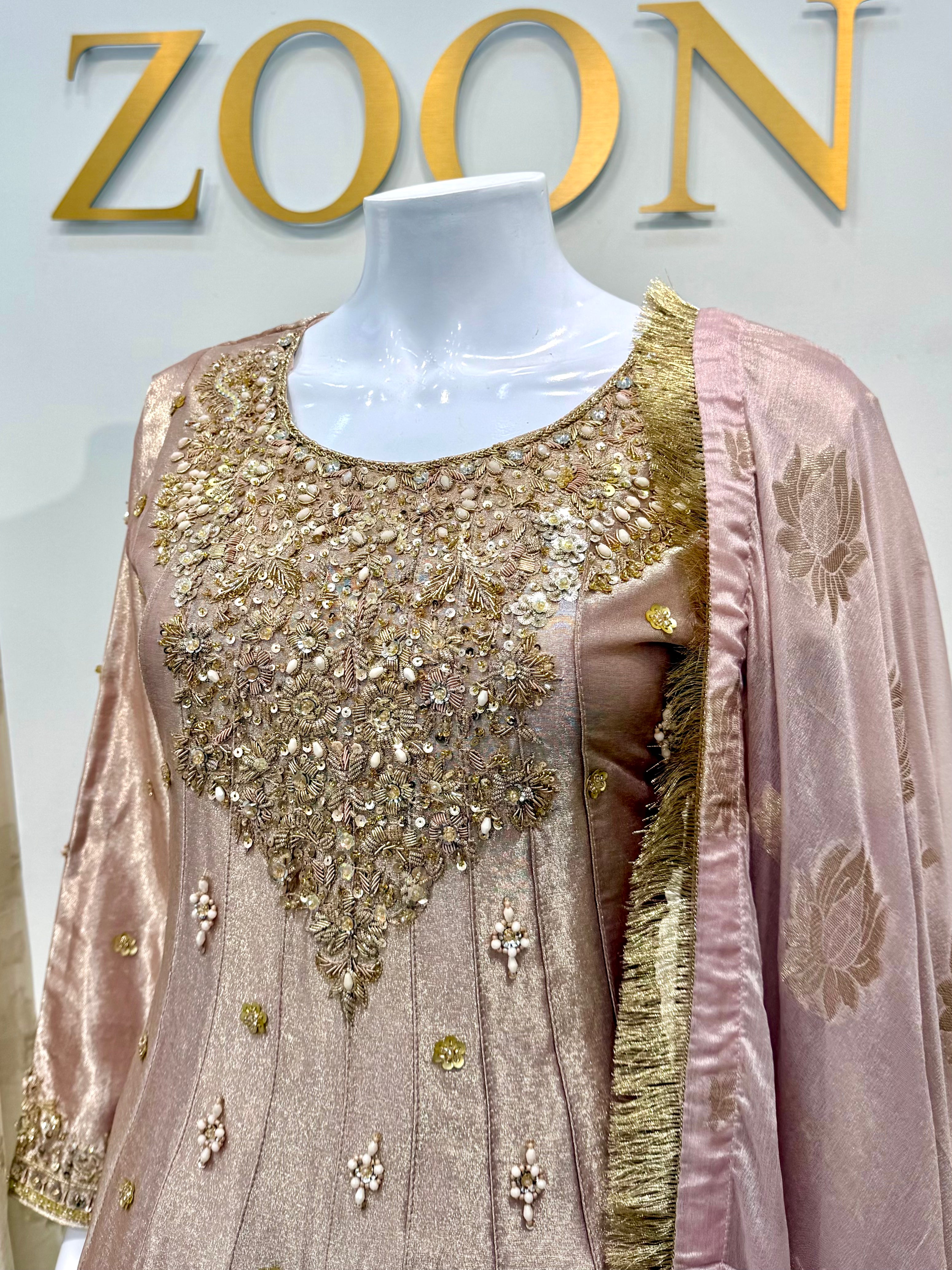 Hand Embroidered Tissue Silk Maxi