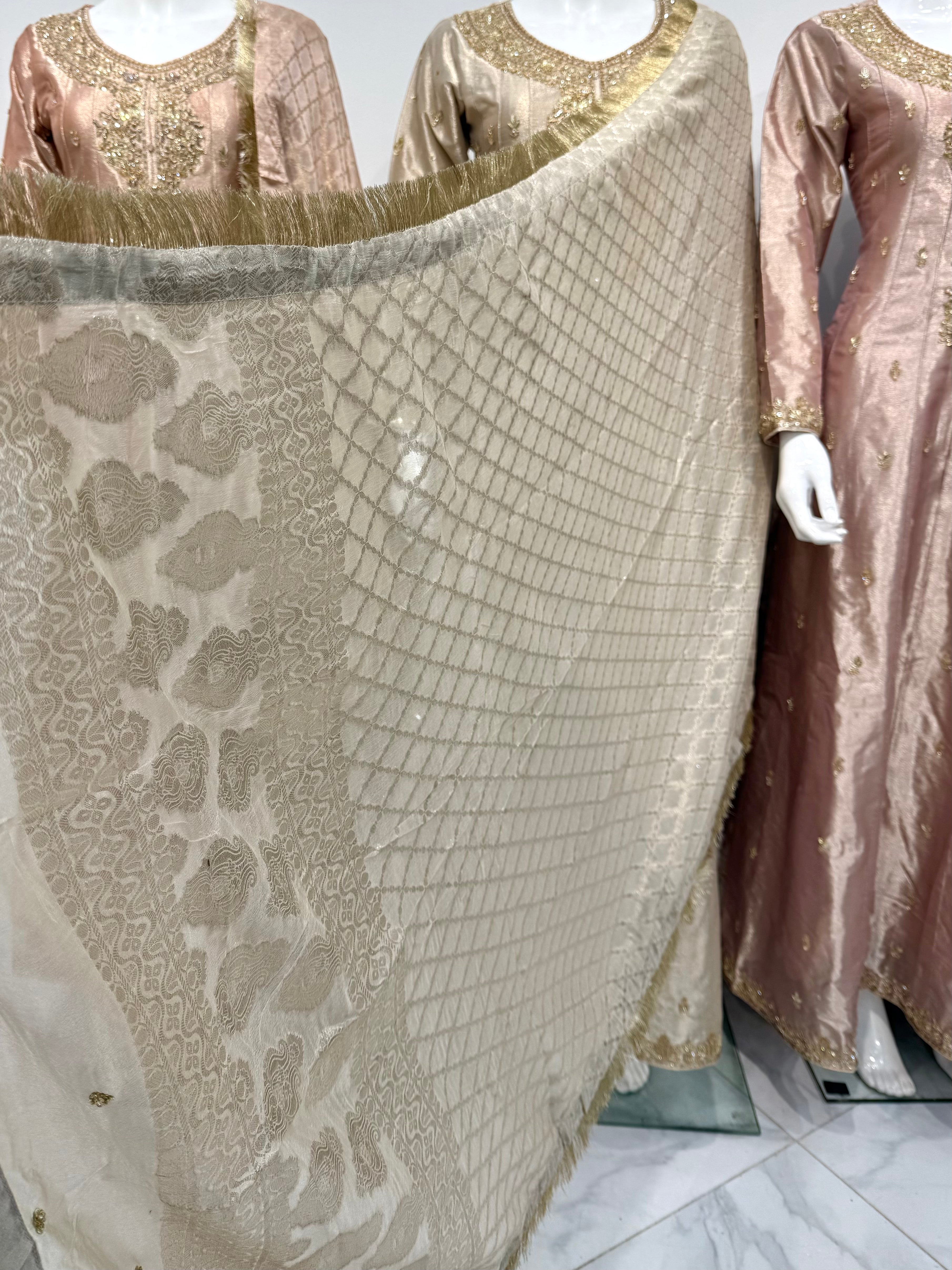 Hand Embroidered Tissue Silk Maxi